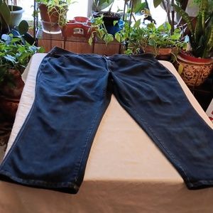 Lane Bryant Blue Jeans